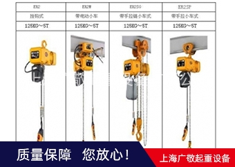 厂家直销保用一年 环链柠檬视频APP无限观看黄 250公斤 300公斤 500公斤 1吨